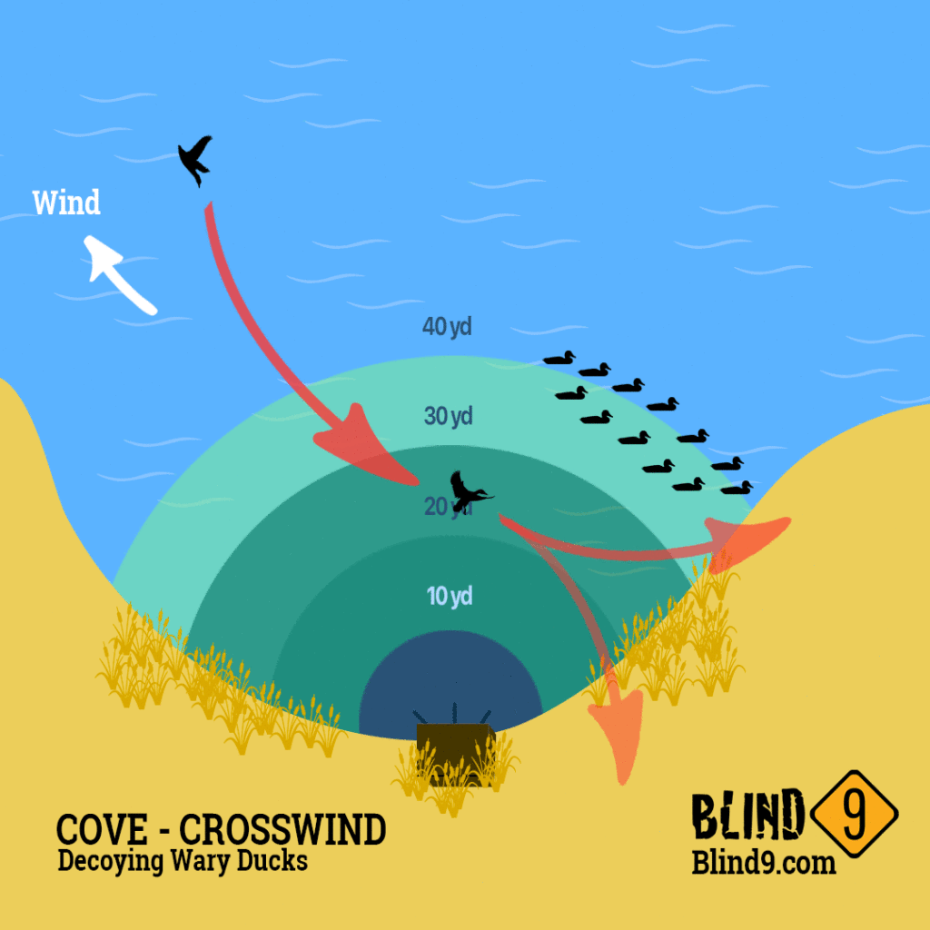 Cove Crosswind Decoy Spread