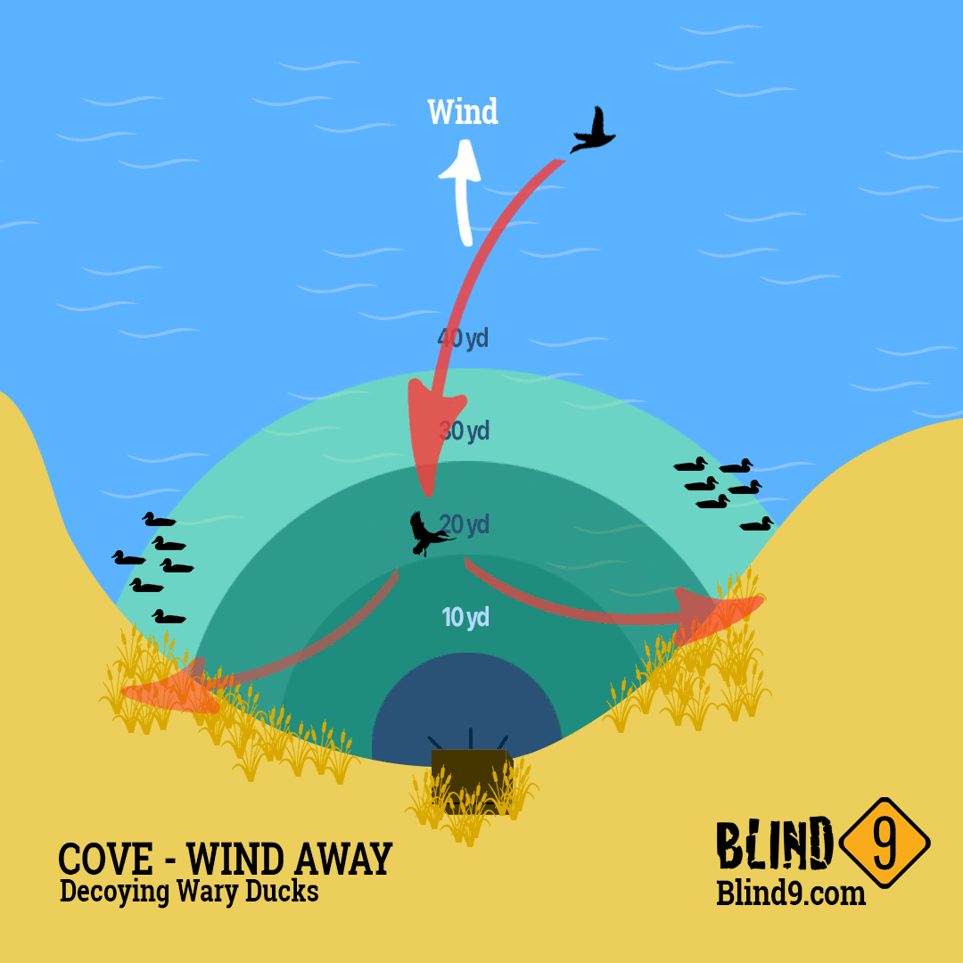Cove Wind Away Decoy Spread for Wary Ducks